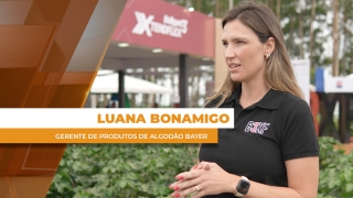 Luana Bonamigo