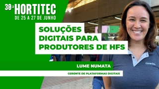 Lume Numata- Gerente de Plataformas Digitais