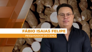 Fábio Isaias Felipe - Pesquisador do Cepea