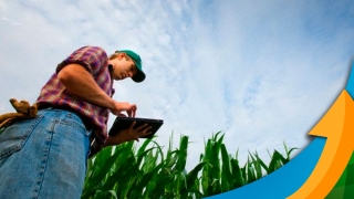 Marco Tulio Habib - Eng. Agrônomo e Sócio Diretor da Simbiagro