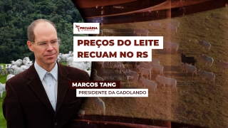 Marcos Tang - Presidente da Gadolando