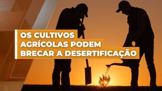 Reportagem de João Batista Olivi