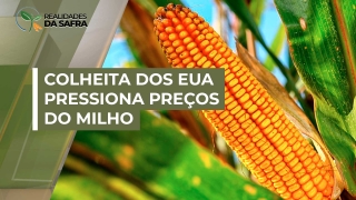 Ruan Sene - Analista de Mercado da Grão Direto