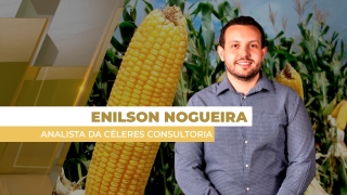 Enilson Nogueira - Analista da Céleres Consultoria