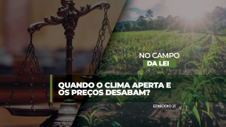 Letícia Moura, advogada da banca @joaodomingosadvogados