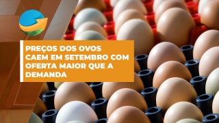 Cláudia Scarpelin - pesquisadora do Cepea