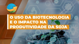 Fernando Prudente - Líder Produtos Soja e Algodão - Bayer