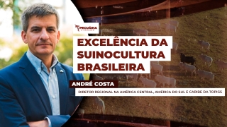 André Costa - Diretor Regional na América Central, América do Sul e Caribe da Topigs