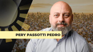 Pery Passotti Pedro - Consultor Independente