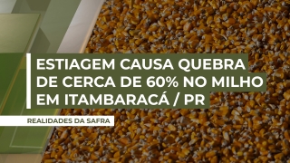 Mário Teixeira Marinho Neto - Produtor Rural na Região de Itambaracá/PR