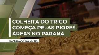 Carlos Hugo Godinho - Engenheiro Agrônomo do Deral