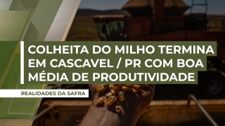 Modesto Félix - Vice-Presidente do Sindicato Rural de Cascavel/PR
