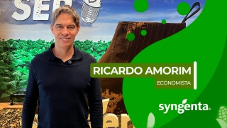 Ricardo Amorim