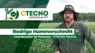 Rodrigo Hammerschmitt