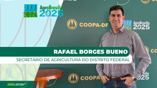Rafael Borges Bueno, Secretário de Agricultura do Distrito Federal