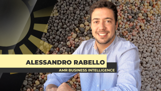 Alessandro Rabello - AMR Business Intelligence