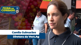 Camila Guimarães