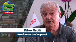 Dilvo Grolli