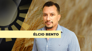 Élcio Bento - Analista da Safras & Mercado