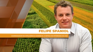 Felipe Spaniol - Coordenador de Inteligência Comercial e Defesa de Interesses da CNA