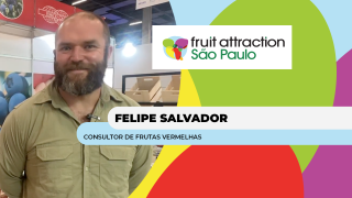 Felipe Salvador