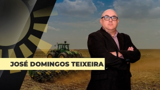 José Domingos Teixeira - Engenheiro agrônomo