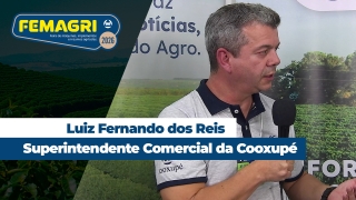 Luiz Fernando dos Reis