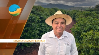 Mário Cezar Ferrari, produtor de café da Fazenda da Serra - Caconde/SP