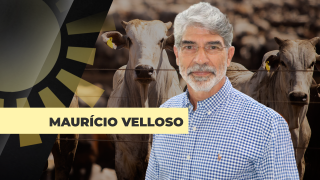 Maurício Velloso - Presidente Assocon