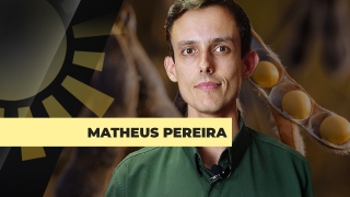 Matheus Pereira - Sócio-Diretor da Pátria Agronegócios