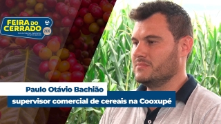 Paulo Otávio Bachião