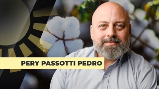 Pery Passotti Pedro - Consultor Independente
