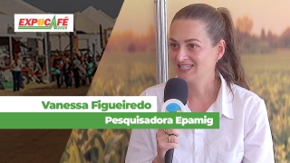 Vanessa Figueiredo