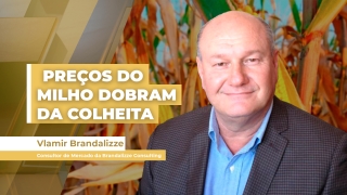 Vlamir Brandalizze - Consultor de Mercado da Brandalizze Consulting