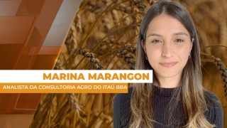 Marina Marangon