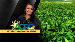 Bom Dia Agro