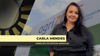Carla Mendes