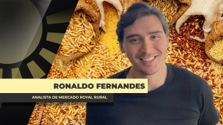 Ronaldo Fernandes - Analista de Mercado Royal Rural