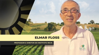 Elmar Floss - Professor e Diretor do Instituto Incia