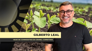 Gilberto Leal - Head de Commodities da Granel corretora