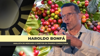 Haroldo Bonfá - Analista de Mercado e Diretor da Pharos Consultoria
