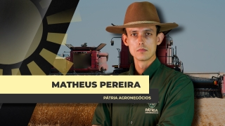 Matheus Pereira - Sócio-Diretor da Pátria Agronegócios