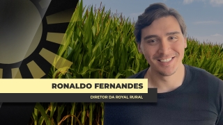 Ronaldo Fernandes - Analista de Mercado Royal Rural