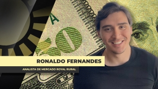 Ronaldo Fernandes - Analista de Mercado Royal Rural