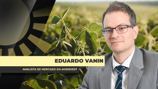 Eduardo Vanin - Analista de Mercado da Agrinvest