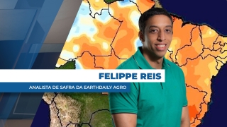 Felippe Reis - Analista de Safra da EarthDaily Agro
