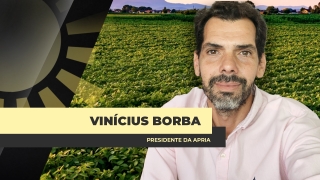 Dr. Vinícius Borba - Advogado