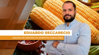 Eduardo Seccarecio - Analista de Mercado da Agrifatto Consultoria