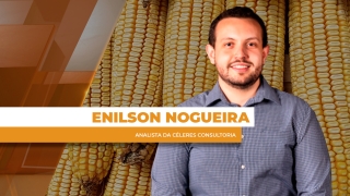 Enilson Nogueira - Analista da Céleres Consultoria