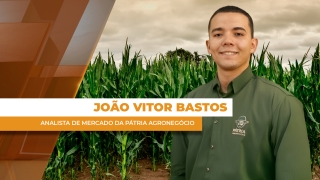 João Vitor Bastos - Analista de Mercado da Pátria Agronegócio